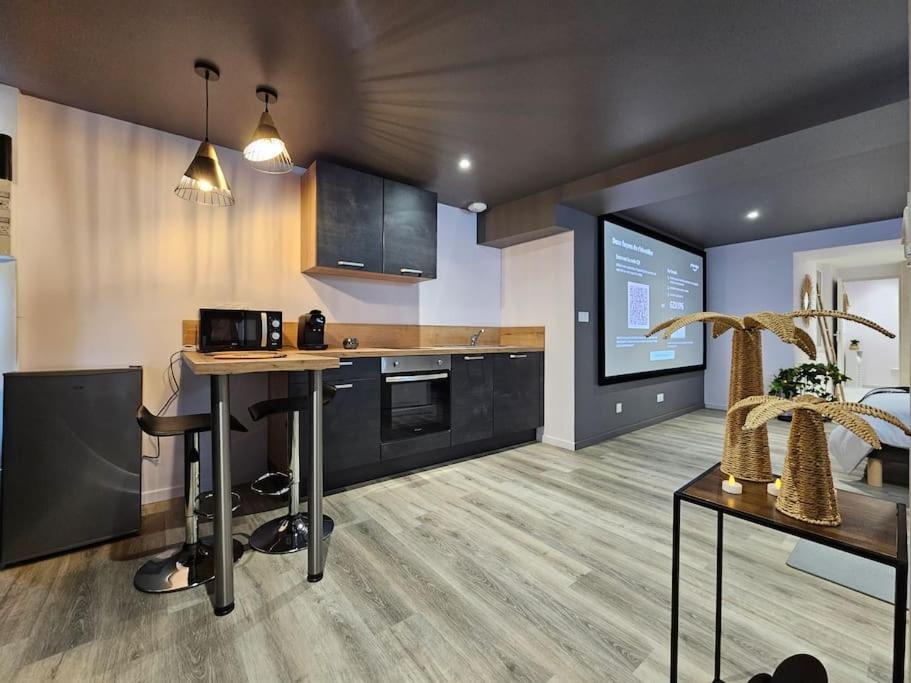 Apartment Balneo Et Cinema Le Saona Bourg-en-Bresse